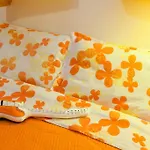 Arts And Music - Luxury * 安科纳