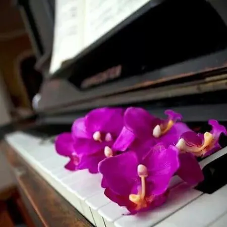 Arts And Music - Luxury Appartement Ancône