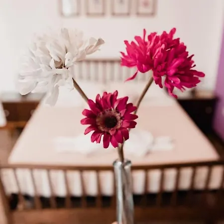 Arts And Music - Luxury